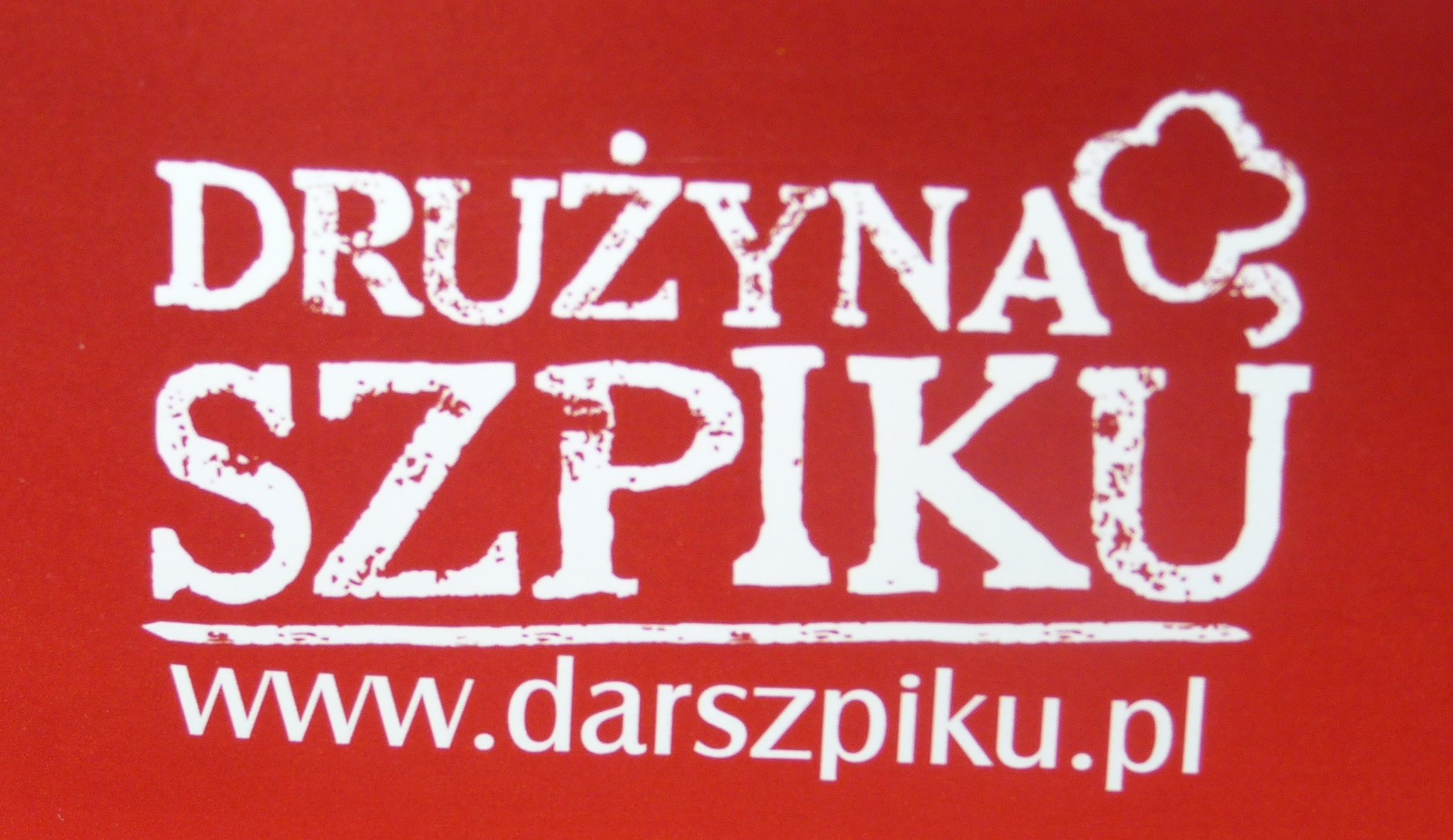 Drużyna szpiku