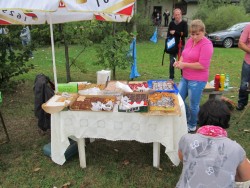 Piknik w&nbsp;Niegowonicach 2012